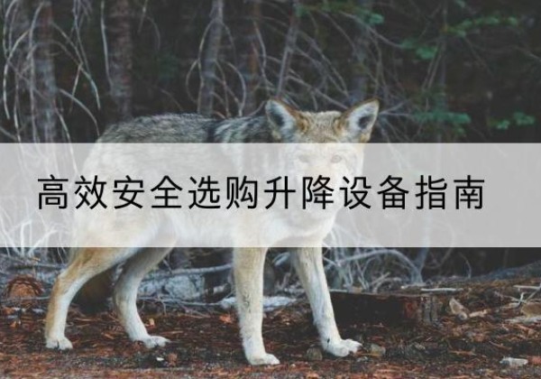 镇康升降货梯厂家推荐-*安全选购升降设备指南