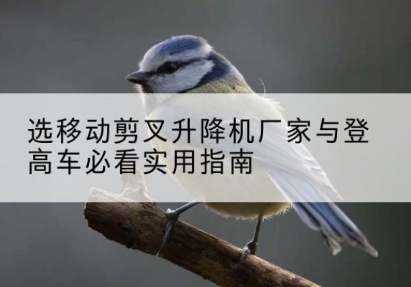 镇康电动升降机厂家-选移动剪叉升降机厂家与登高车必看实用指南