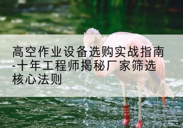 镇康剪叉式升降机厂家-高空作业设备选购实战指南-十年工程师揭秘厂家筛选核心法则