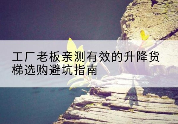 镇康升降货梯怎么选-工厂老板亲测有效的升降货梯选购避坑指南